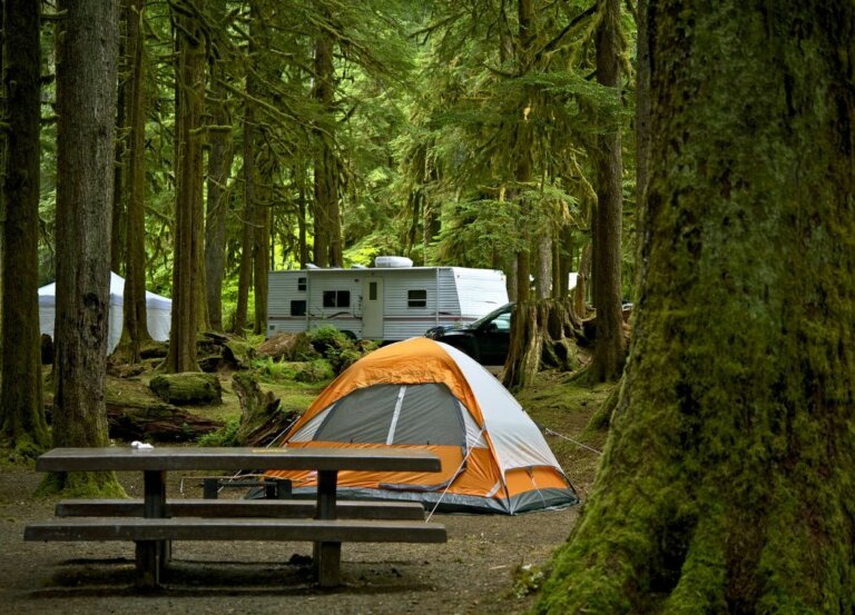 Camping In California: 19 Best Campgrounds Of 2023
