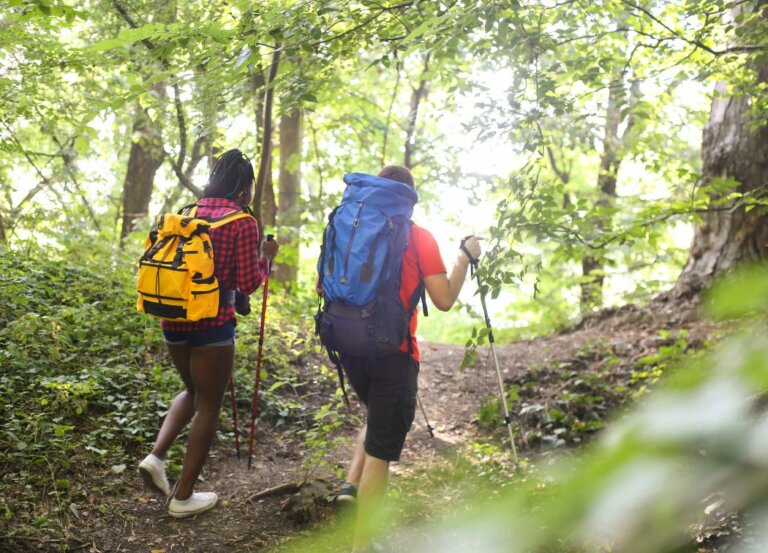 Hiking for Beginners: 21 Tips To Get Started in 2023