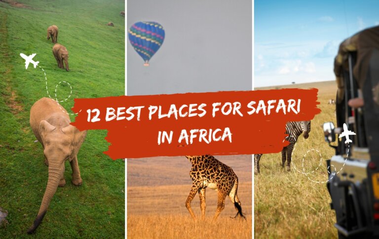 12 Best Places for Safari in Africa