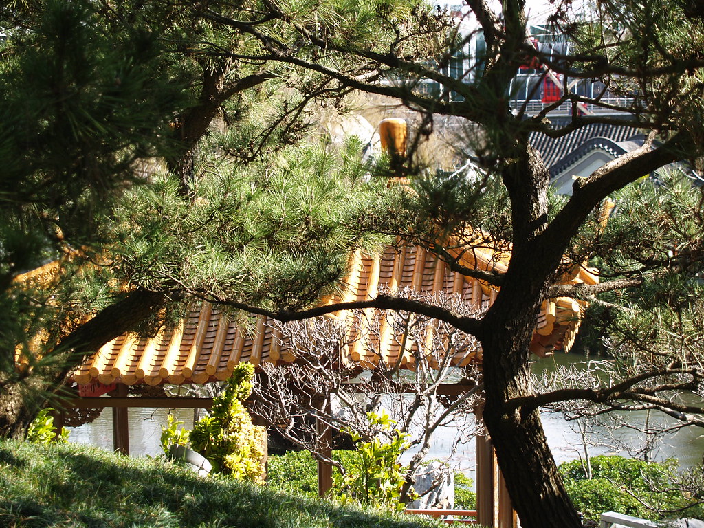Chinese Garden of Friendship in Sydney
