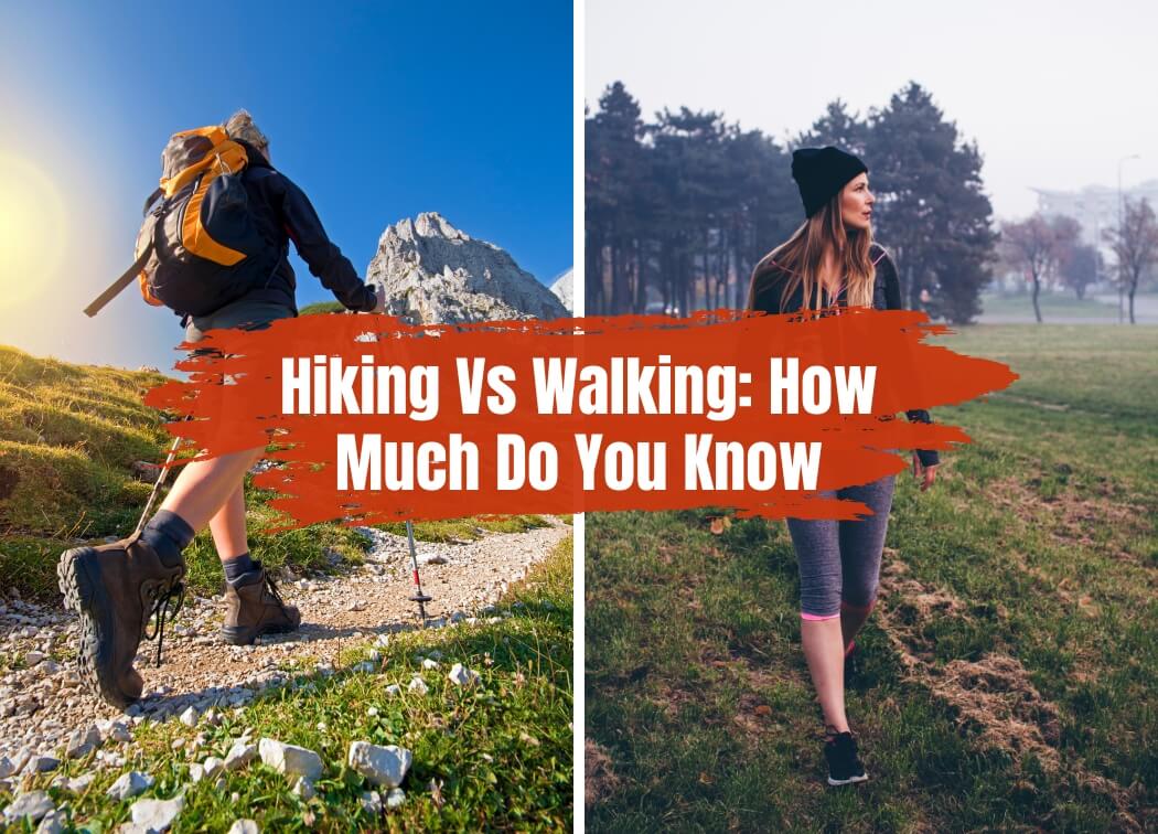 Hiking Vs Walking: How Much Do You Know