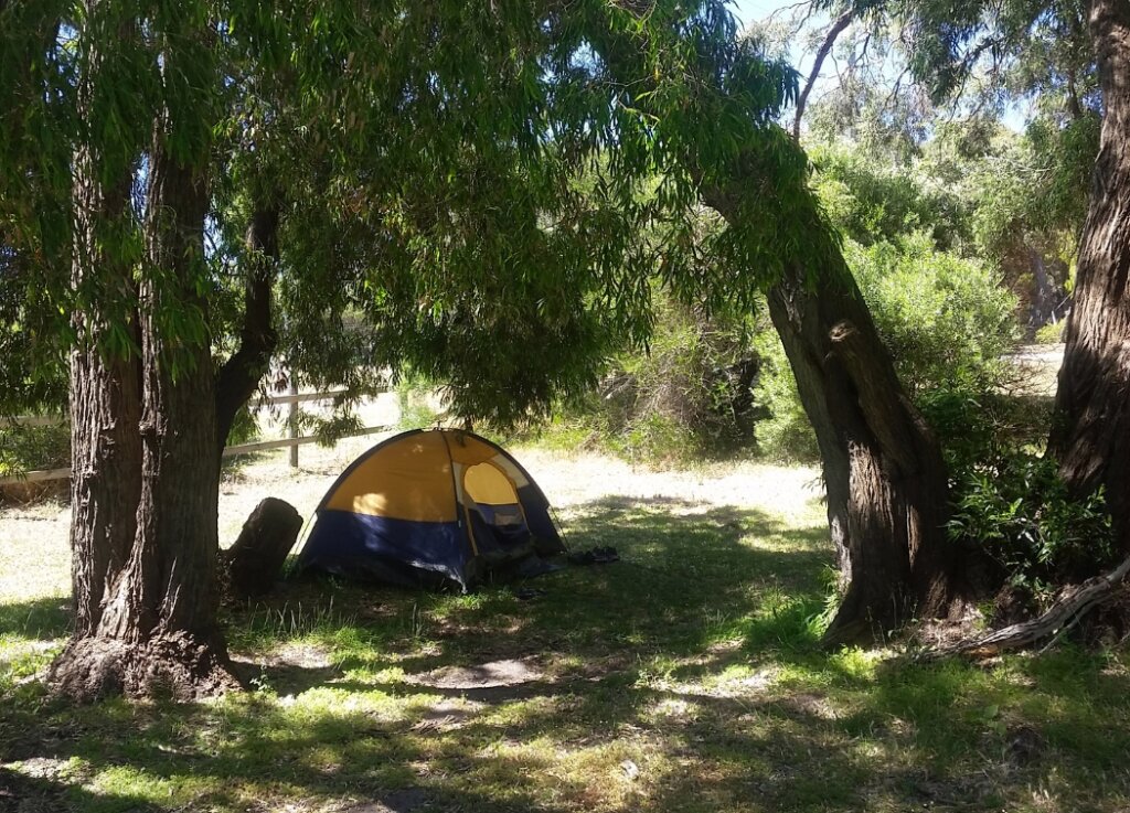 Set Up Your Tent In A Shady Place