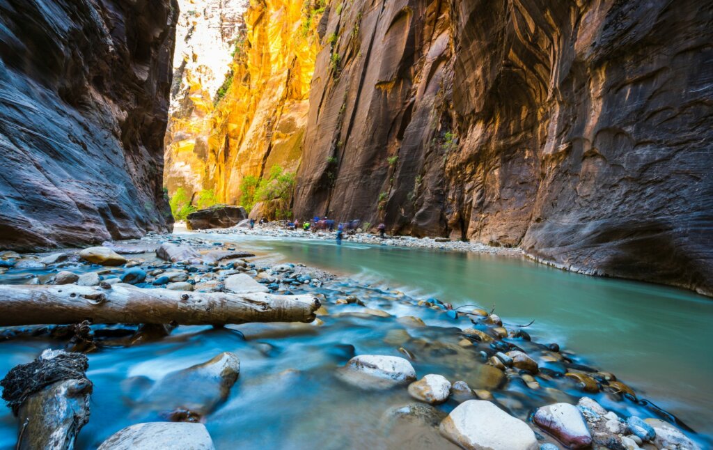 The Narrows Zion National Park
