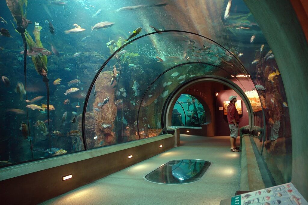#9 Oregon Coast Aquarium, Oregon