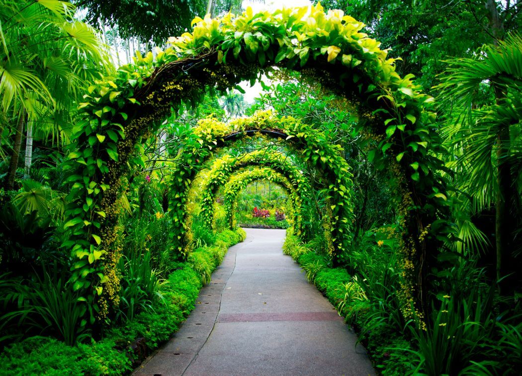 The Best Botanical Gardens in Florida